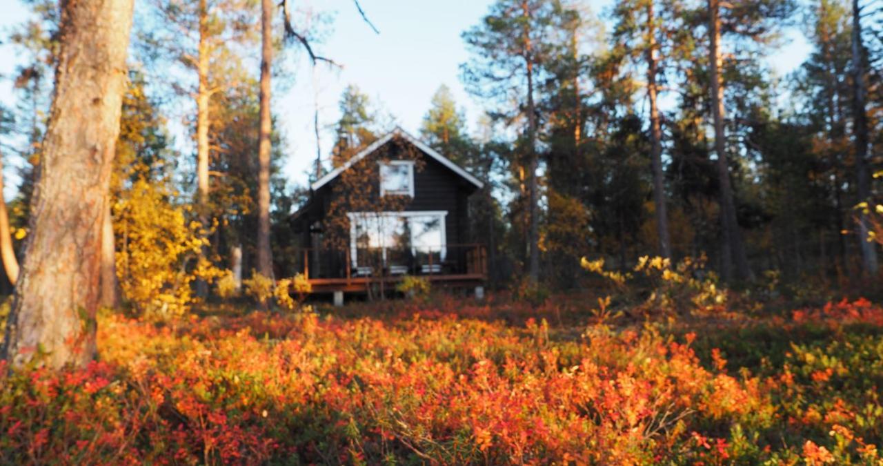 Lapintintti Eco-Cabin In Inari Exterior foto